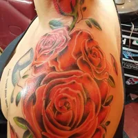 Nova Tattoo Studio