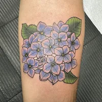 Ophidian Tattoo Gallery