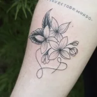 Plush Tattoo & Intuitive Arts