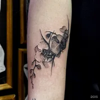 Psuna tattoo, тату-студия