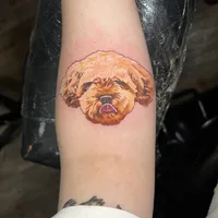 Red rabbit tattoo studio