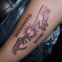 Studio Tattoo Shark Red