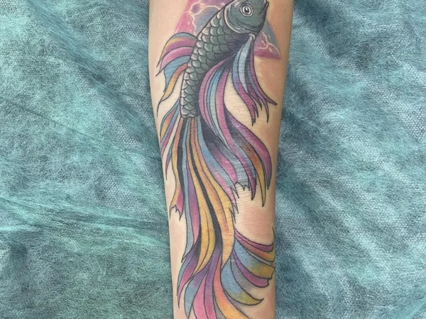 Tattoo monkey, студия
