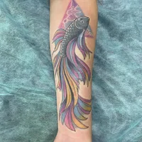 Tattoo monkey, студия