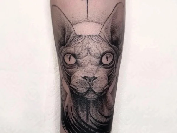 Tattoo Pride, тату-студия