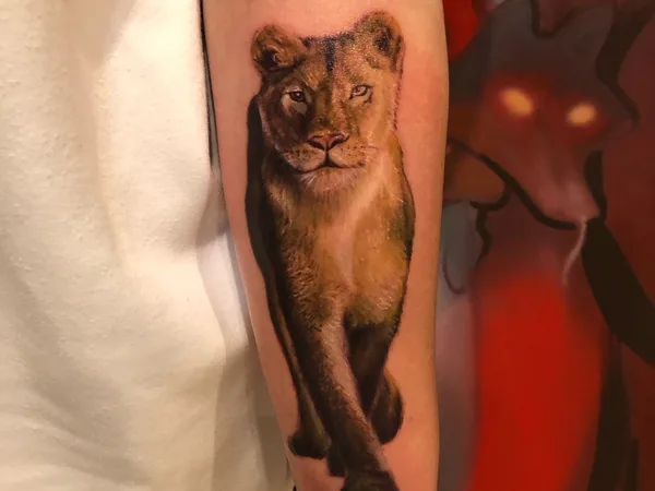 Tattoo_Scar, салон