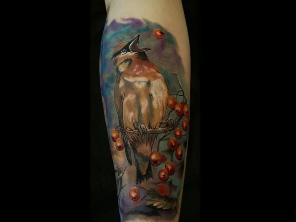 Tattoo44, студия татуировки