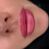 Татутека, салон