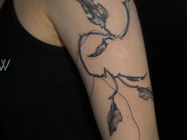 Temple Tattoo, салон тату и пирсинга