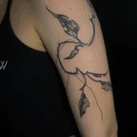 Temple Tattoo, салон тату и пирсинга