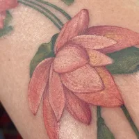tvt_tattoo65, тату-студия