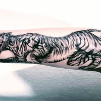 Vuelos Tattoo Cba