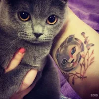 Western Tattoo Factory, тату-студия
