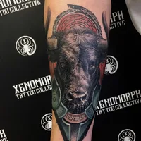 Xenomorph tattoo collective, тату-студия