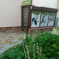 Zotov Tattoo Studio