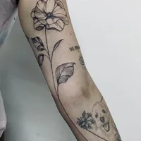 Zumbis Tattoo Studio