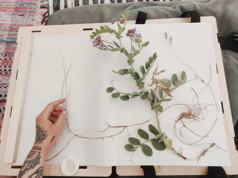 Ksenia Darmaeva: «Forest - is a space within a space within a space» - image 4