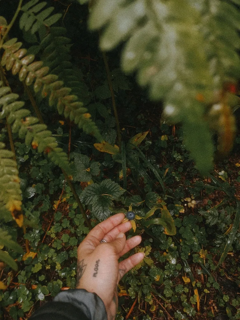 Ksenia Darmaeva: «Forest - is a space within a space within a space» - image 5