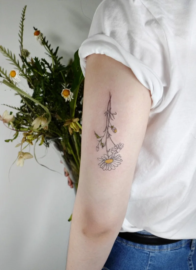 Joo Joo 用自然线条创作的 tattoos