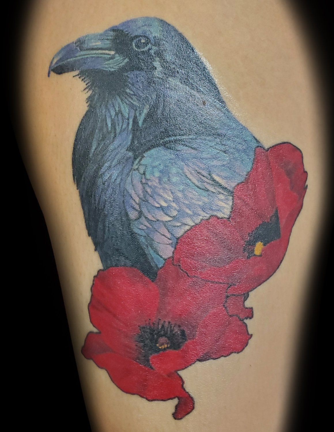 A realistic tattoo of a raven rendered in deep blues and purples alongside two vibrant red poppies with dark centres, arranged diagonally on skin with the raven's head pointing upward and the poppies flowing downward.