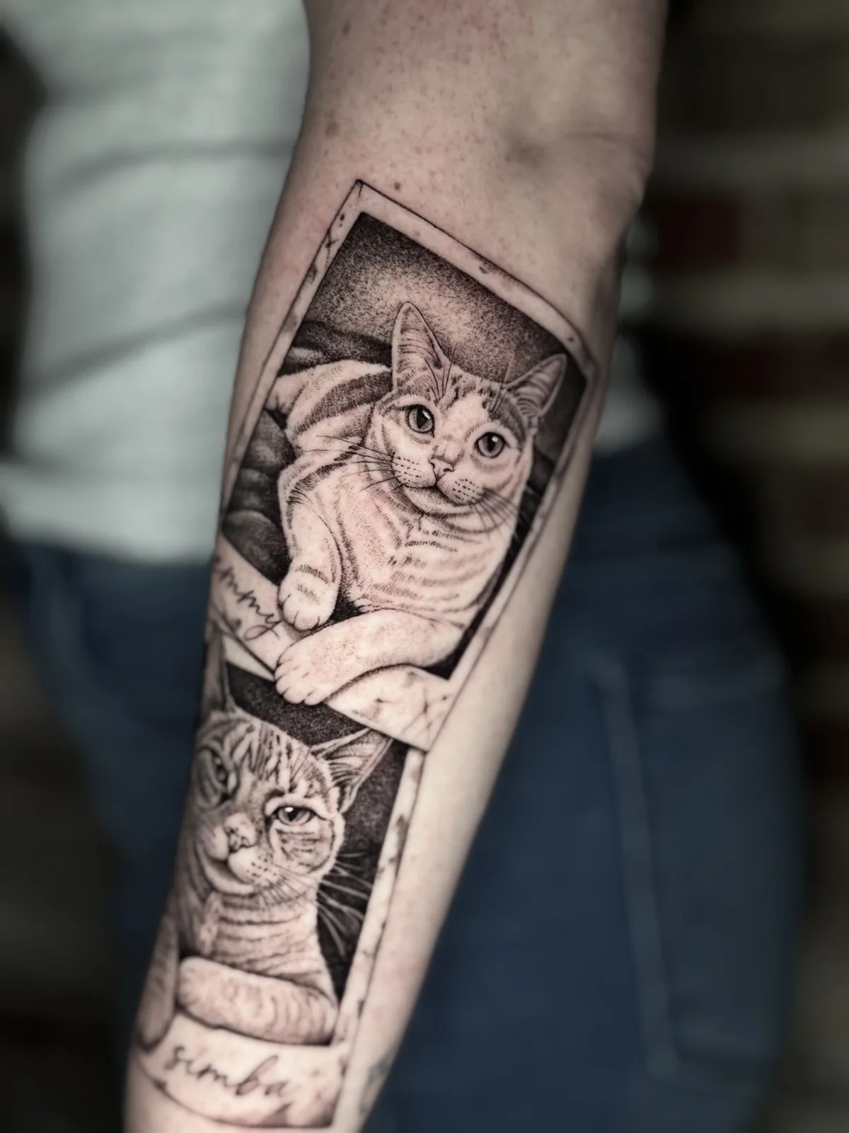 Black and grey forearm tattoo of memorial cat portraits set in photo frames