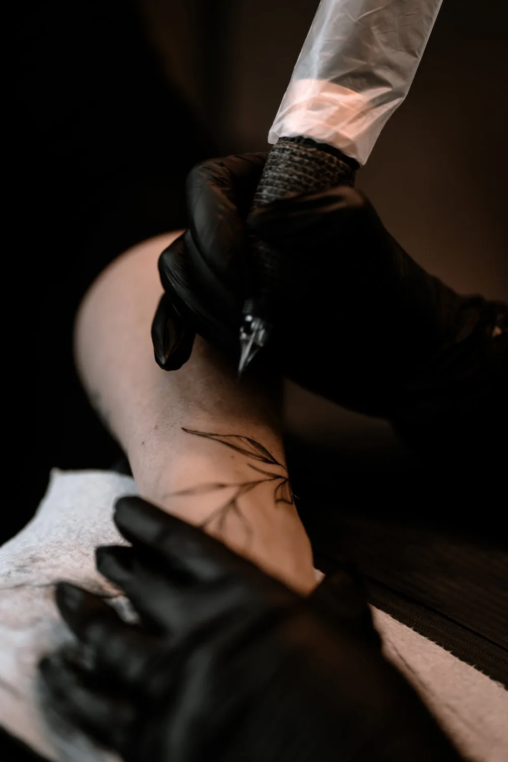 Close-up of a gloved tattoo artist's hands holding a tattoo machine against skin, with a thin stem and a few narrow leaves already drawn in black ink, the needle poised mid-line.