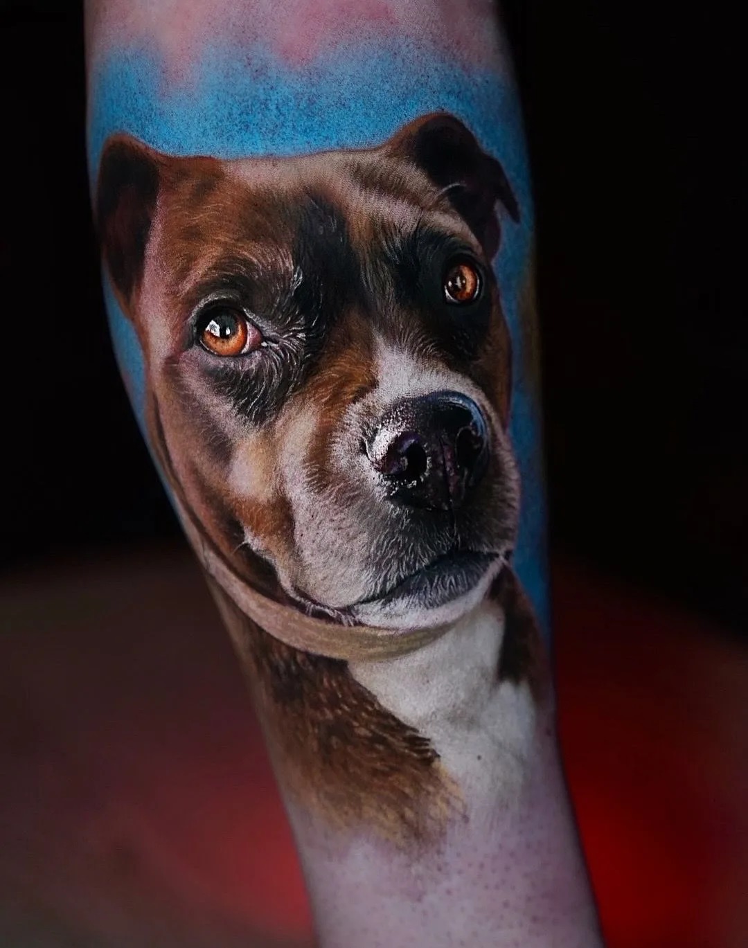 A hyperrealistic tattoo portrait of a broad-headed brown and white dog resembling a Staffordshire Bull Terrier, with detailed amber eyes, a wet-looking black nose, and an abstract blue and pink background.