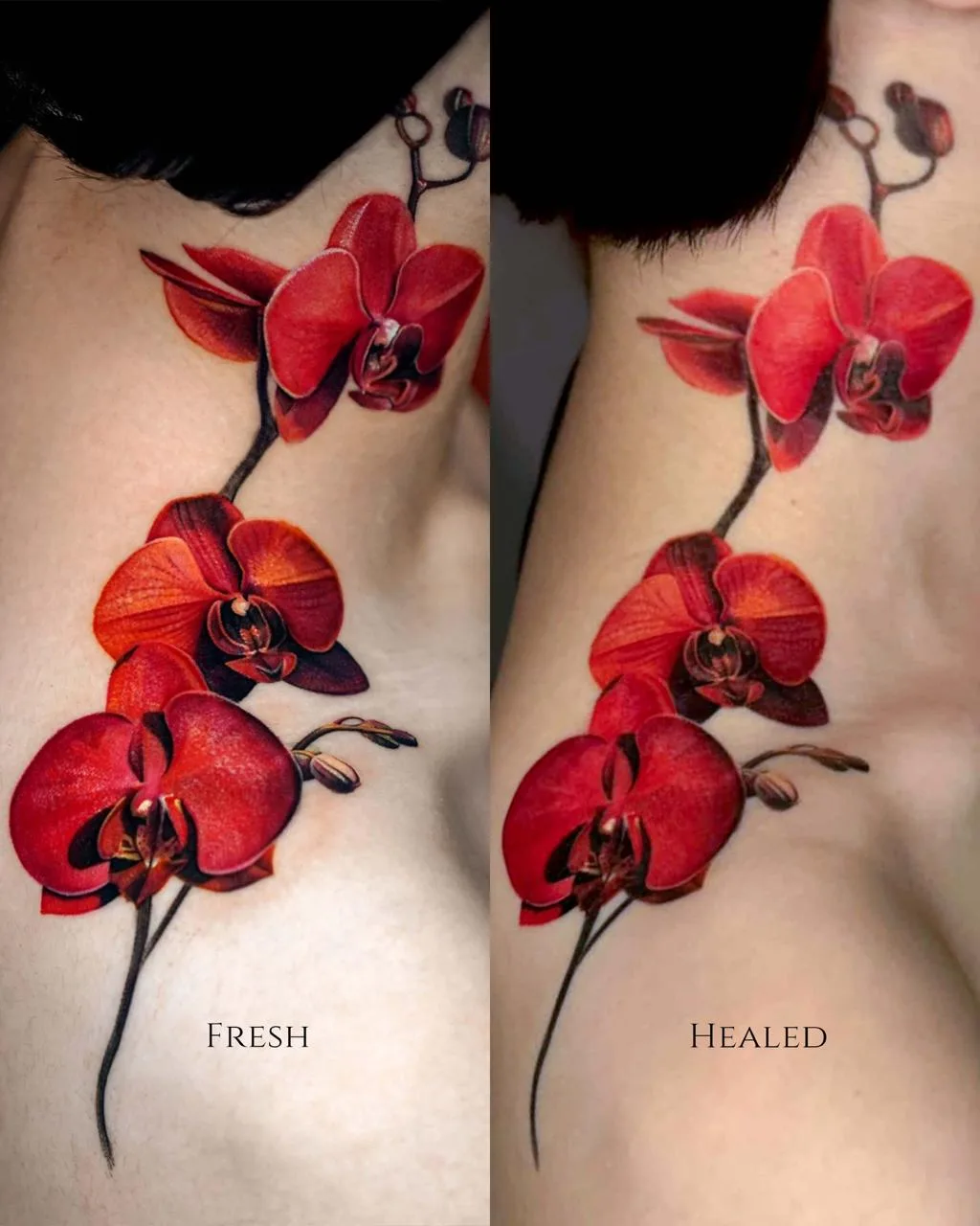 A diptych labeled FRESH and HEALED showing a chest and neck tattoo of red orchids: three open Phalaenopsis-style blooms and two buds on a dark stem curving across the skin, the healed version showing slightly settled color.