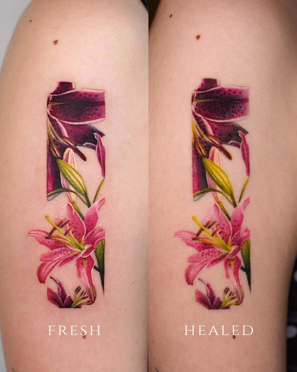 A diptych image labeled FRESH and HEALED showing the same tattoo on an arm: a vertical rectangular frame containing a bright pink lily with yellow stamens and dark purple lily buds and leaves, the healed version showing slightly softened color.