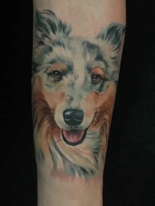 color realism татуировка на forearm #14448 | Тату мастер Илья Мартынов