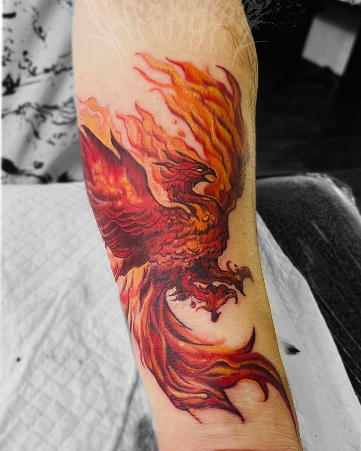  @nopexhope 