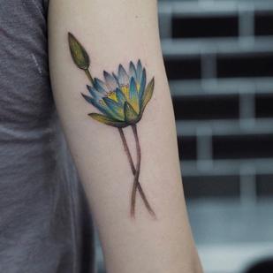 tattoo #47595 | Tattoo Artist Kemal Özceylan