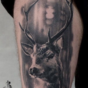tattoo #27827 | Tattoo Artist Sergey Butenko