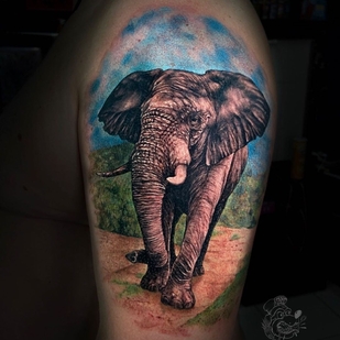 tattoo #49596 | Tattoo Artist Aleksandr Vodolagin