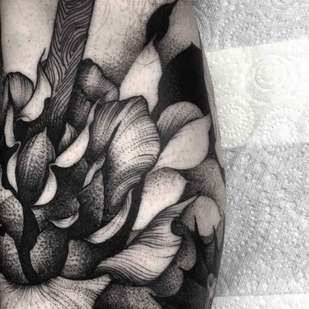 tattoo #9000 | Tattoo Artist Kelly Violet
