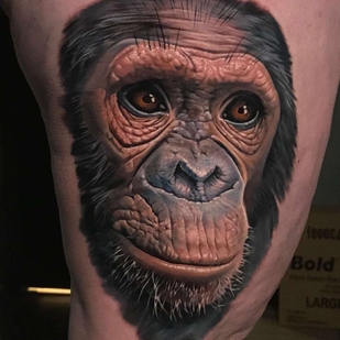 tattoo #21484 | Tattoo Artist Evan Olin