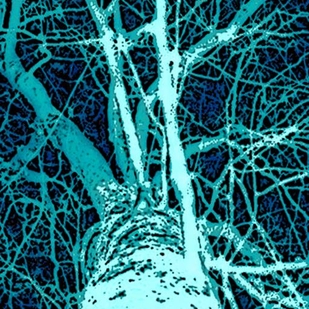 tattoo #72652 | Tattoo Artist Richard S Ruth