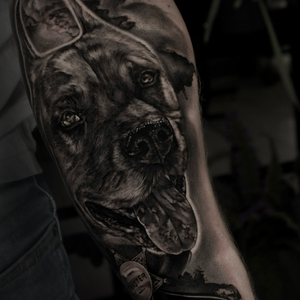 Anna Karenina | Краснодар, Russia | iNKPPL