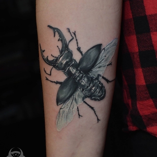 tattoo #24889 | Tattoo Artist Aleksandr Ebiss