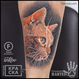 tattoo #32550 | Tattoo Artist Vladimir PANTERA Korolev