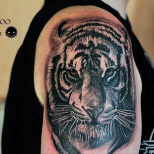 tattoo #32764 | Tattoo Artist Galkin Sergey