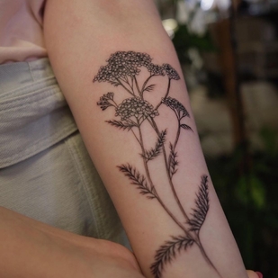 Weiblich Farbe Botanisch tattoo auf Unterarm #44761 | Tattoo Artist Aleksandra Vorobeva