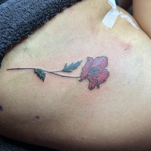 tattoo #89813 | Tattoo Artist Daniel Goudie