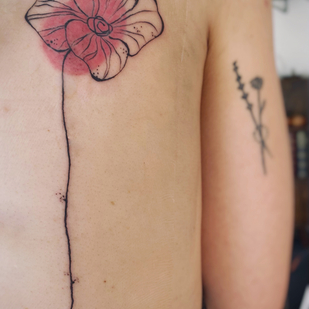 Weiblich Farbe  tattoo auf Rücken #85738 | Tattoo Artist May