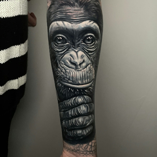 Männlich Schwarz und Grau Realismus tattoo auf Unterarm #86259 | Tattoo Artist Tomek Glinski