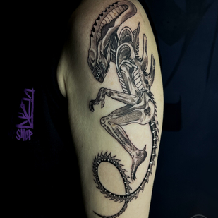 Weiblich Schwarz und Grau Grafik tattoo auf Schulter #100682 | Tattoo Artist Perforator Tattoo Studio