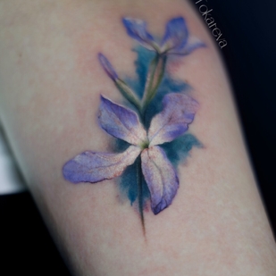 Weiblich Farbe Mikrorealismus tattoo auf Unterarm #101924 | Tattoo Artist Olga Tokareva