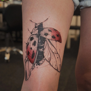 Weiblich  Skizze tattoo auf Bein #96854 | Tattoo Artist Dariya Salmanova