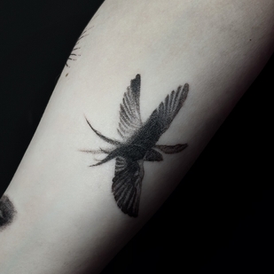 Weiblich Schwarz und Grau Mikrorealismus tattoo auf Unterarm #104785 | Tattoo Artist Ekaterina Sysoeva