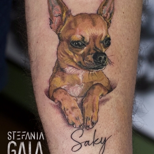 Männlich  Mikrorealismus tattoo auf Unterarm #103270 | Tattoo Artist Stefania Gala